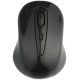 Souris SANS fil